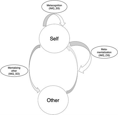 Mentalizing During Social Interaction: The Development and Validation of the Interactive Mentalizing Questionnaire